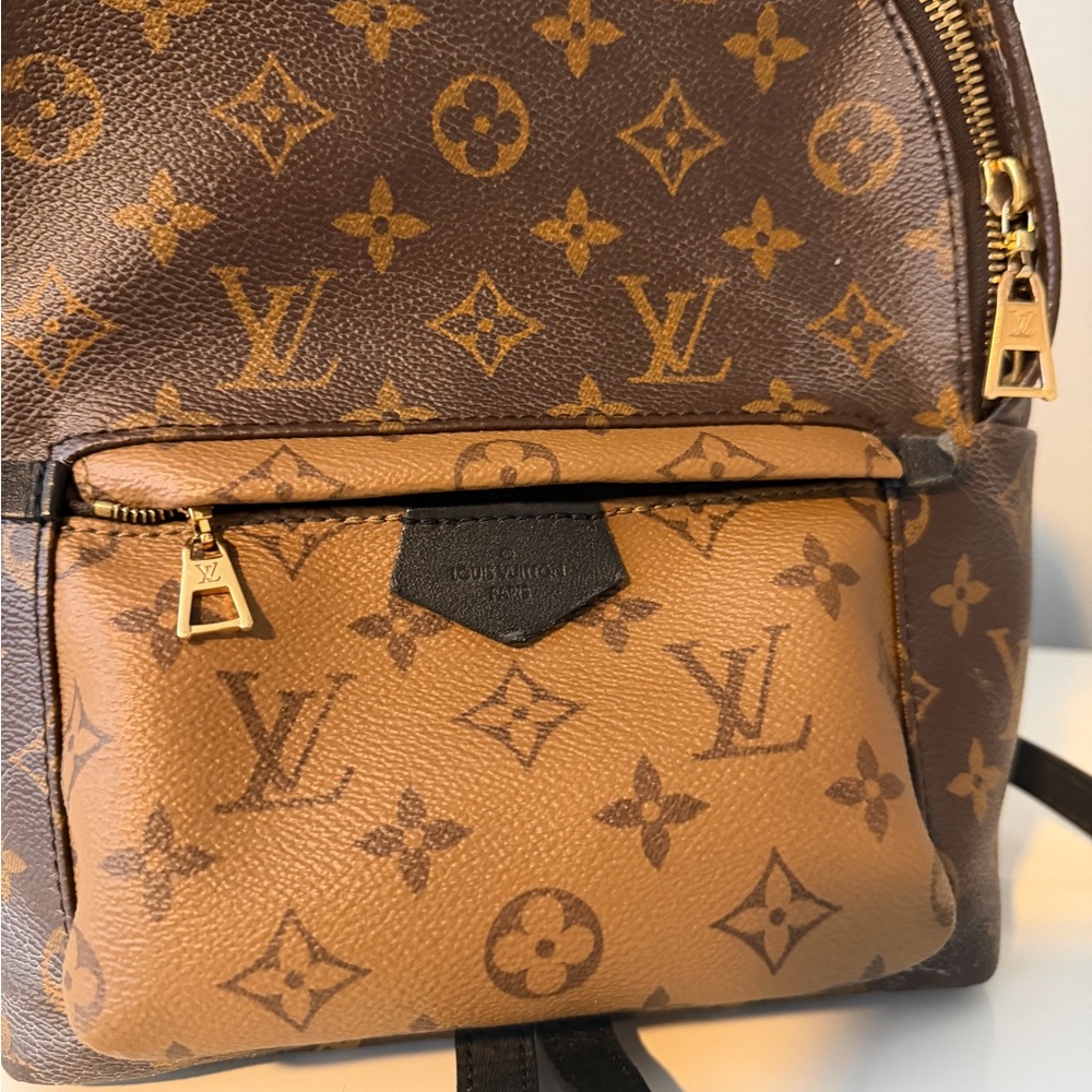 Louis Vuitton Monogram Pm Backpack - image 2